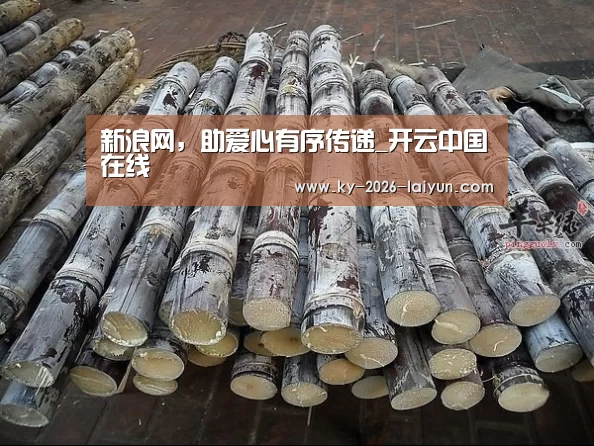 新浪网,助爱心有序传递_开云中国在线(图4) 开云官网